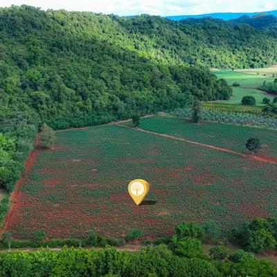 ที่ดิน “ทำเลทอง” ขนงพระ–เขาใหญ่ 10 ไร่ เพียง 2.5 ลบ./ไร่  รายล้อมด้วยธรรมชาติและโครงการพูลวิลล่าชื่อดัง